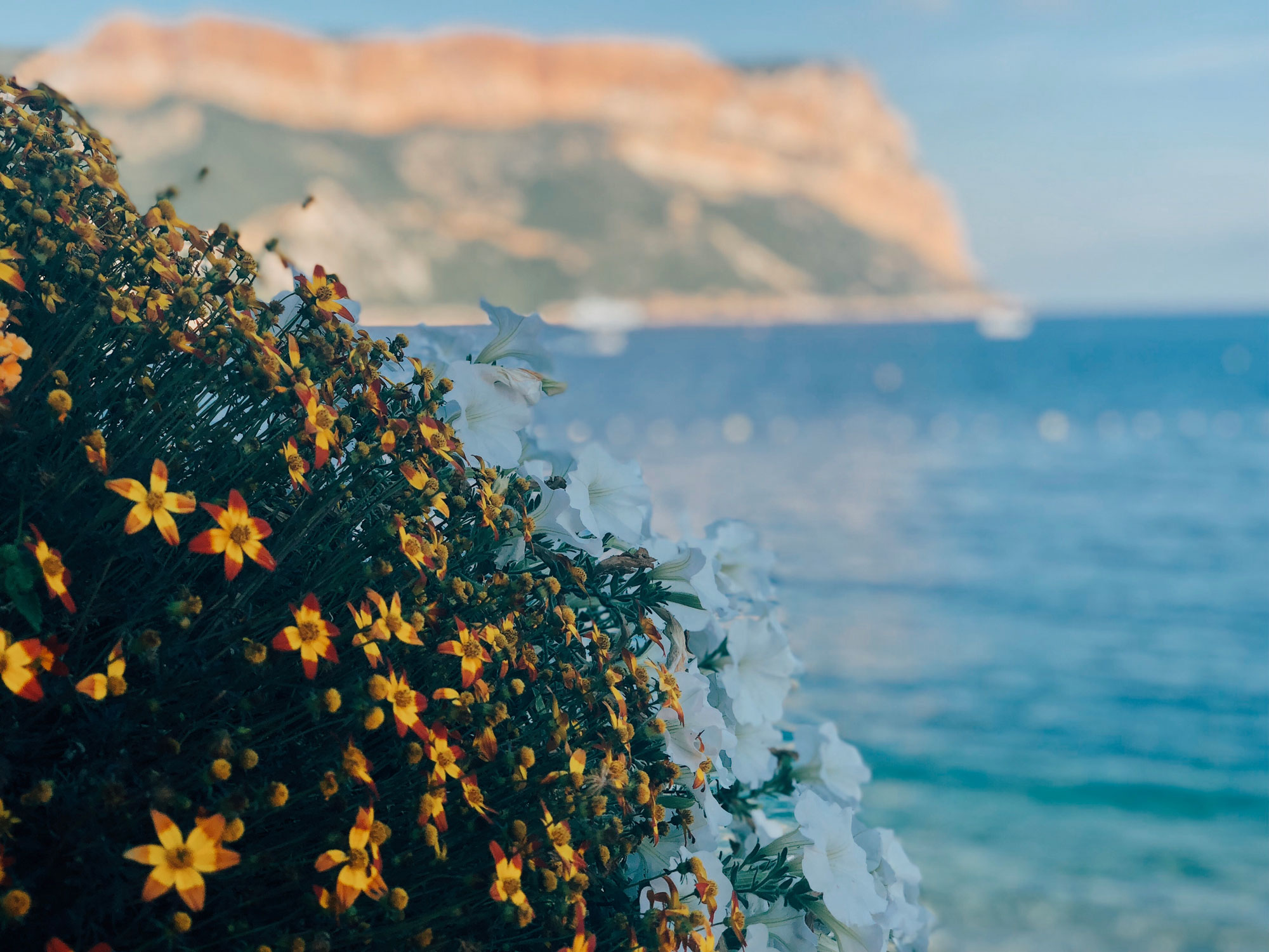 Cassis Coworking est situé en bord de mer